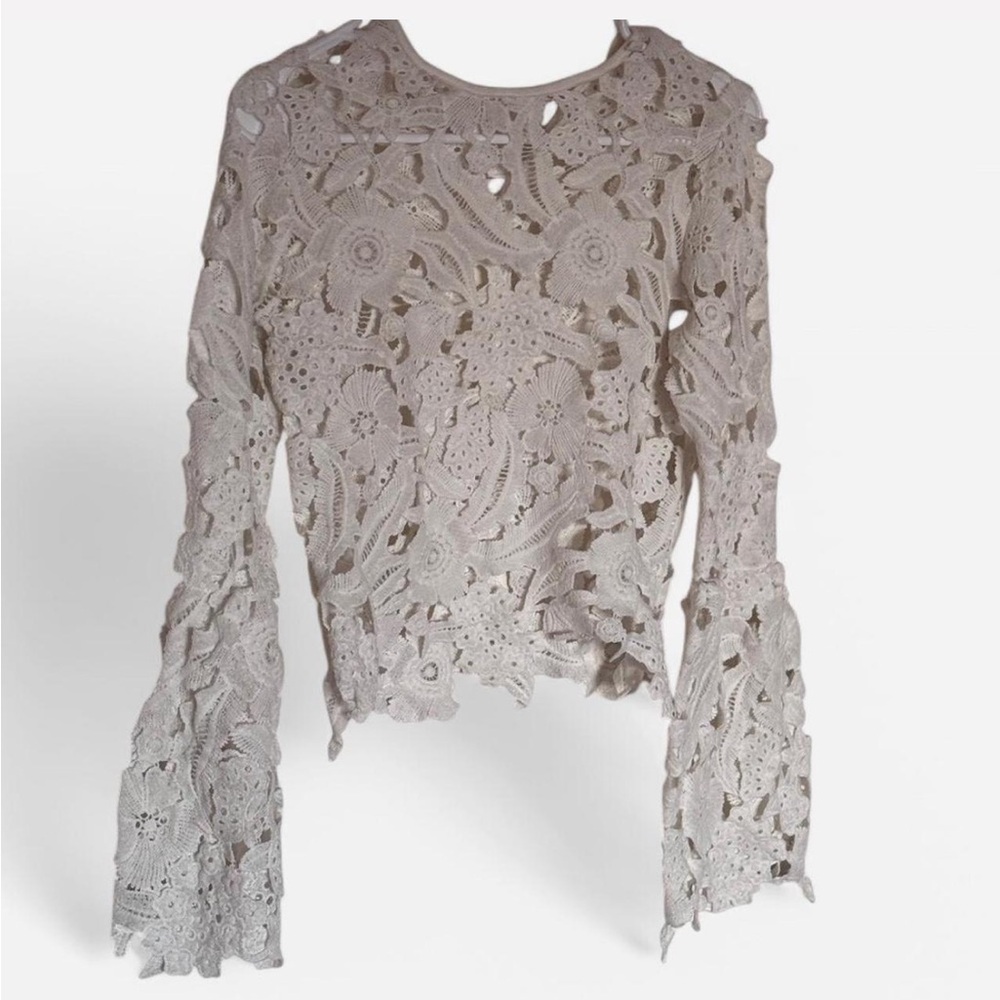 Elegant Cream Lace Women's Top